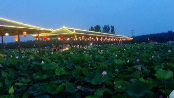 互动桌面最新爆料下载,揭秘未来智能交互新趋势 第1张 互动桌面最新爆料下载,揭秘未来智能交互新趋势 第1张